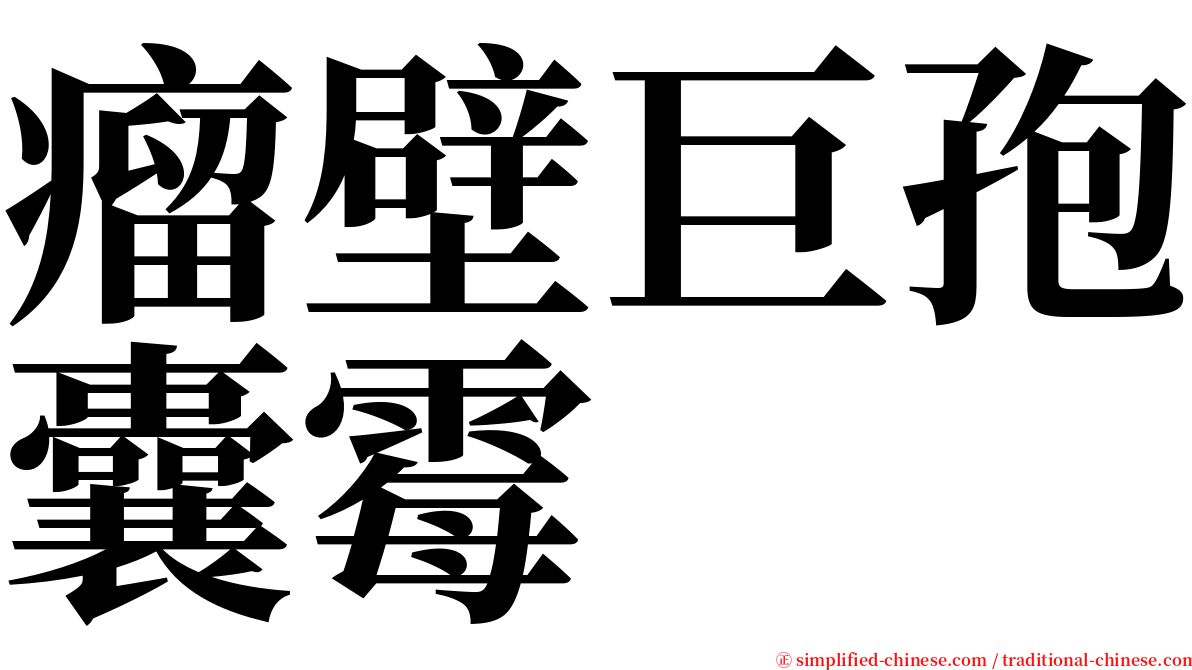 瘤壁巨孢囊霉 serif font