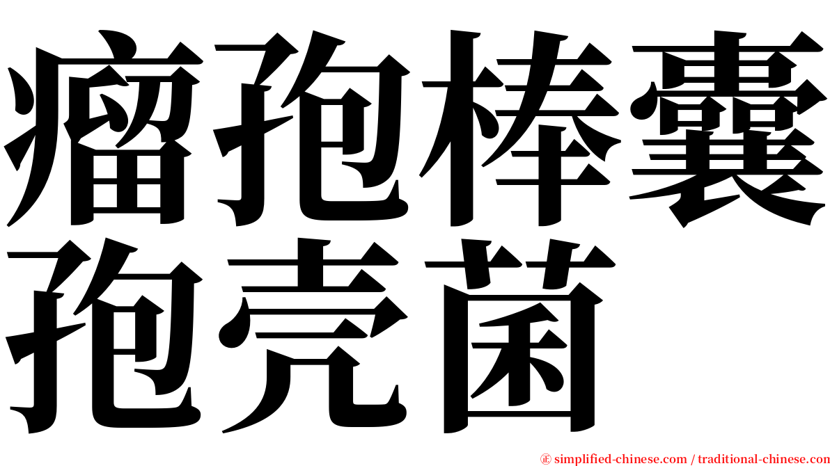 瘤孢棒囊孢壳菌 serif font
