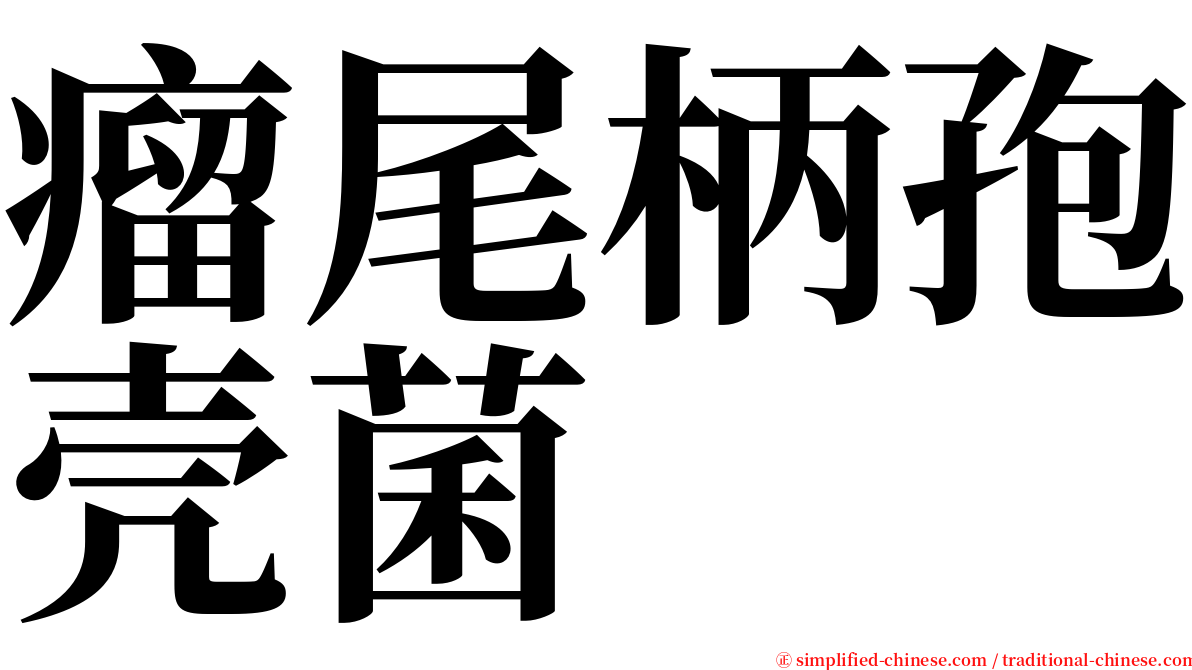 瘤尾柄孢壳菌 serif font