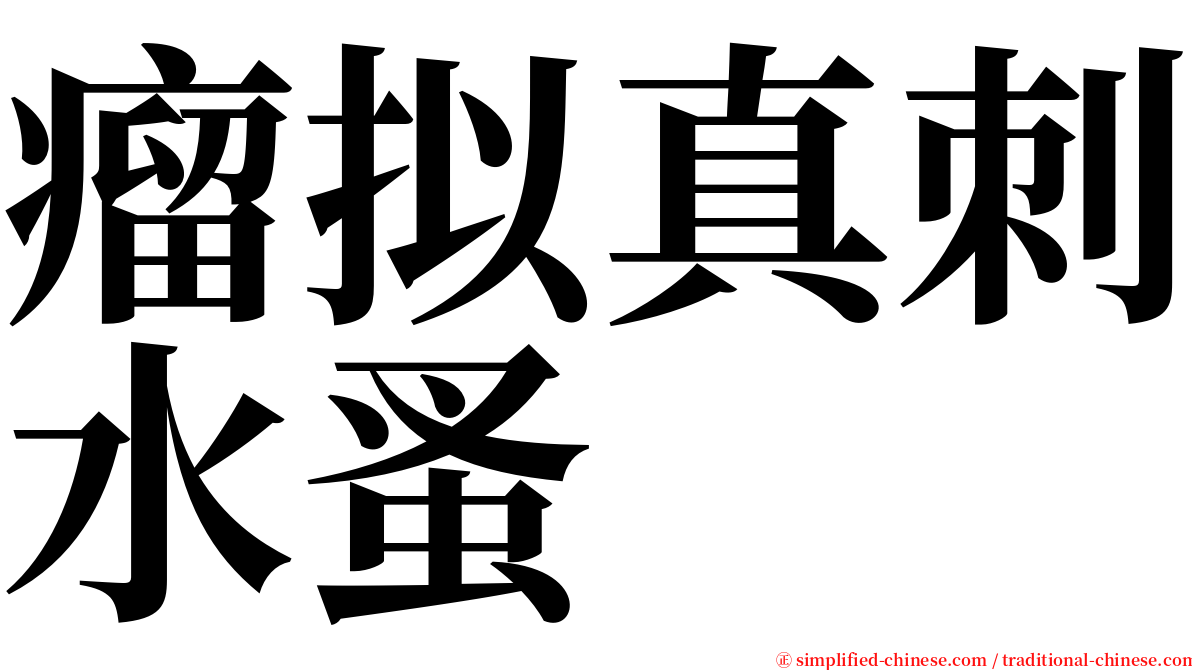 瘤拟真刺水蚤 serif font