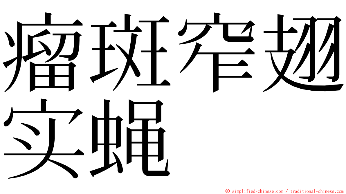 瘤斑窄翅实蝇 ming font