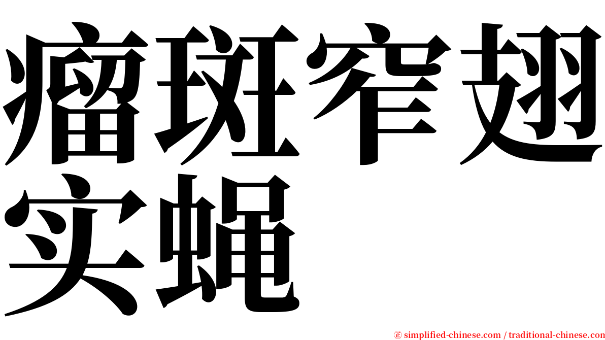 瘤斑窄翅实蝇 serif font