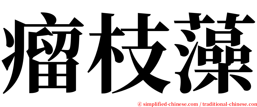 瘤枝藻 serif font