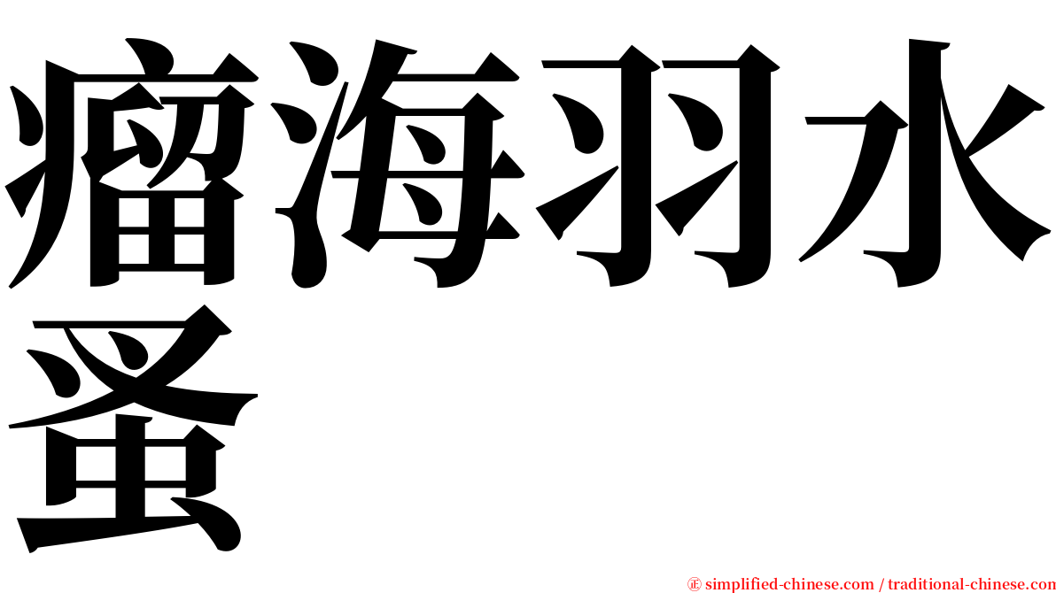 瘤海羽水蚤 serif font
