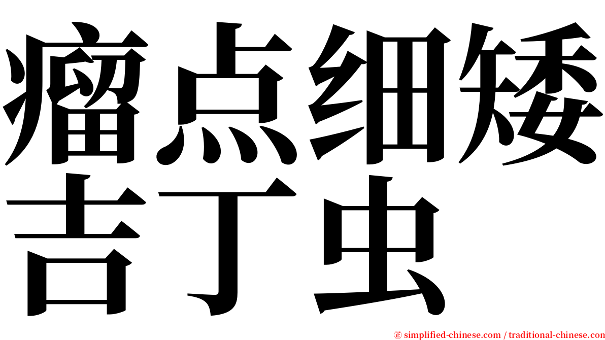 瘤点细矮吉丁虫 serif font