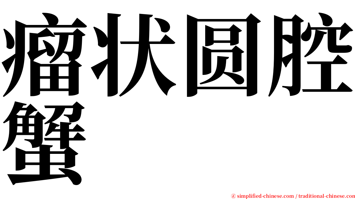 瘤状圆腔蟹 serif font