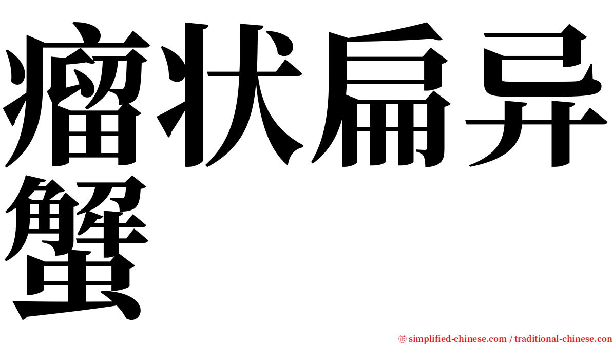 瘤状扁异蟹 serif font