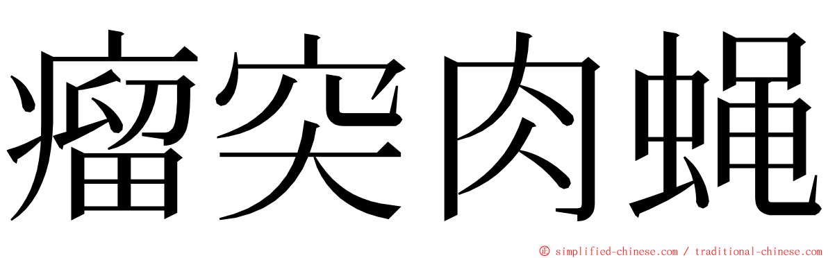 瘤突肉蝇 ming font