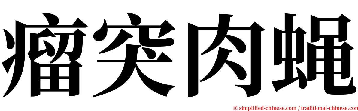 瘤突肉蝇 serif font