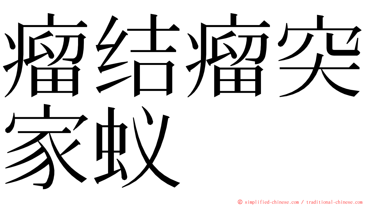 瘤结瘤突家蚁 ming font