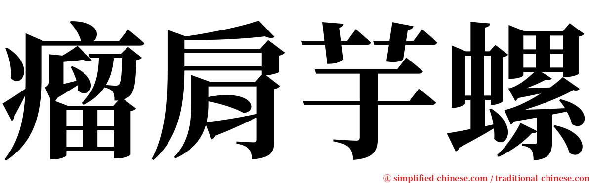 瘤肩芋螺 serif font