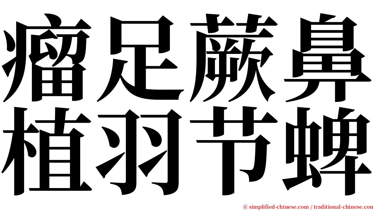 瘤足蕨鼻植羽节蜱 serif font