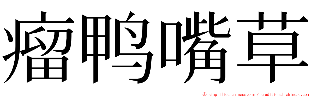 瘤鸭嘴草 ming font