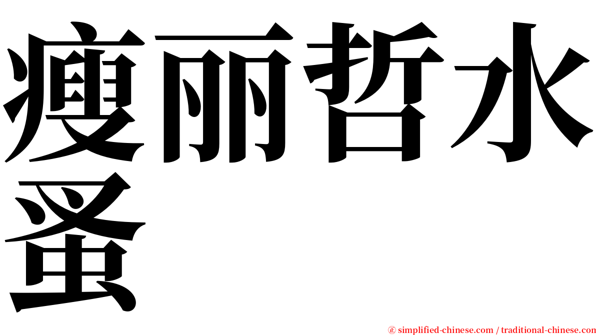 瘦丽哲水蚤 serif font