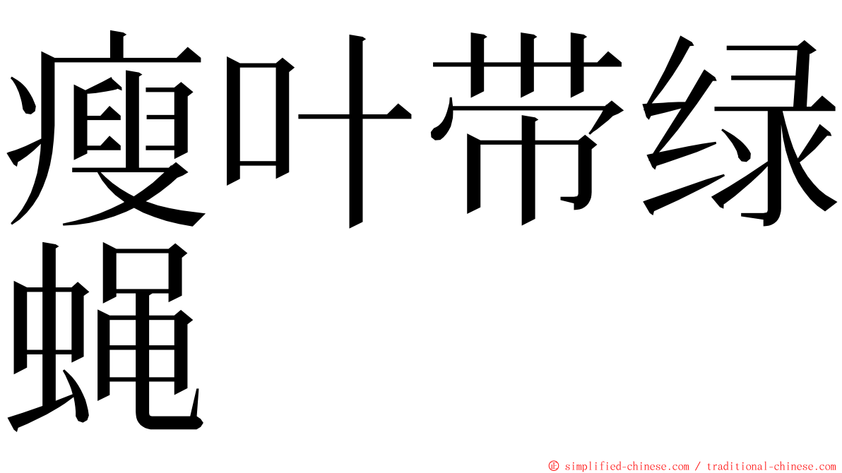 瘦叶带绿蝇 ming font