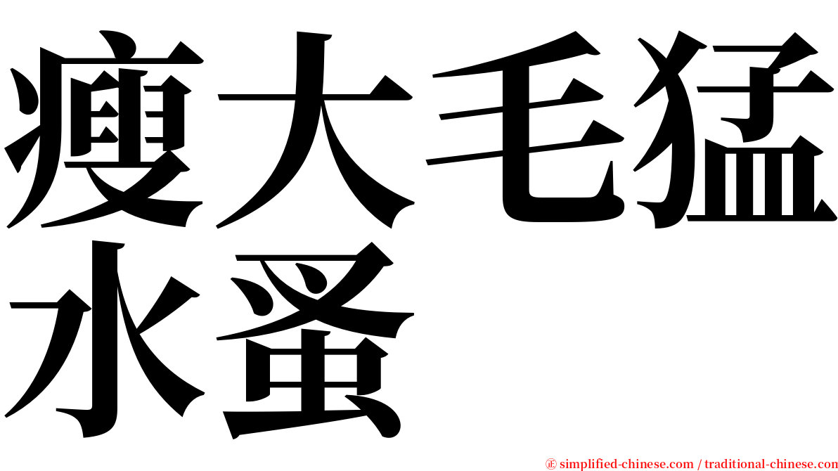 瘦大毛猛水蚤 serif font