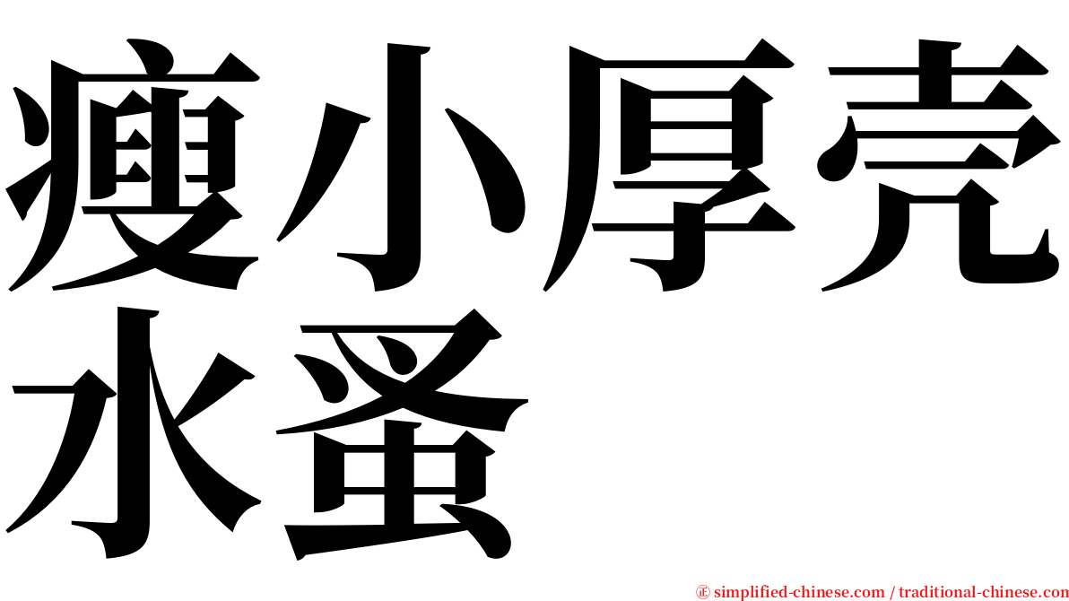 瘦小厚壳水蚤 serif font