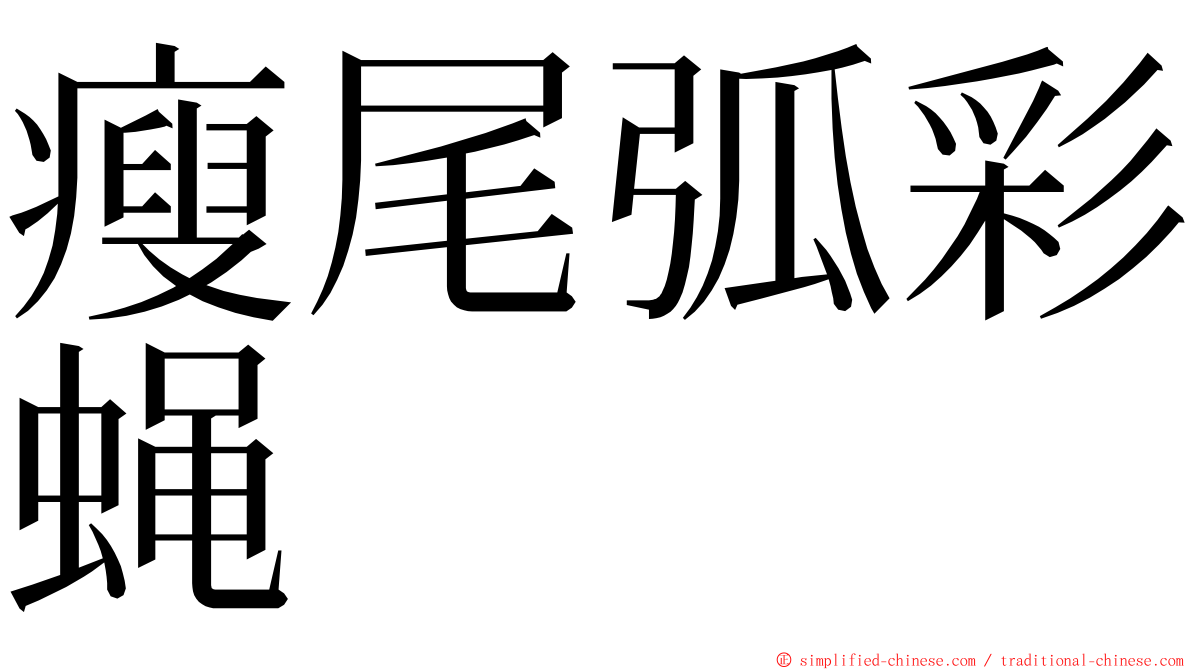 瘦尾弧彩蝇 ming font