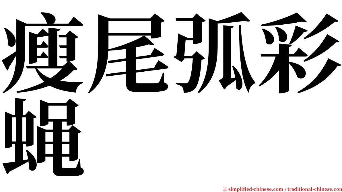 瘦尾弧彩蝇 serif font