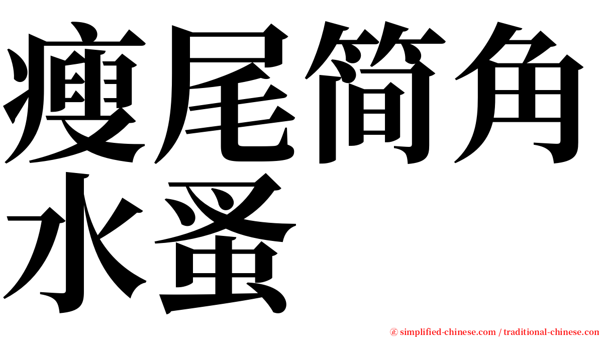 瘦尾简角水蚤 serif font