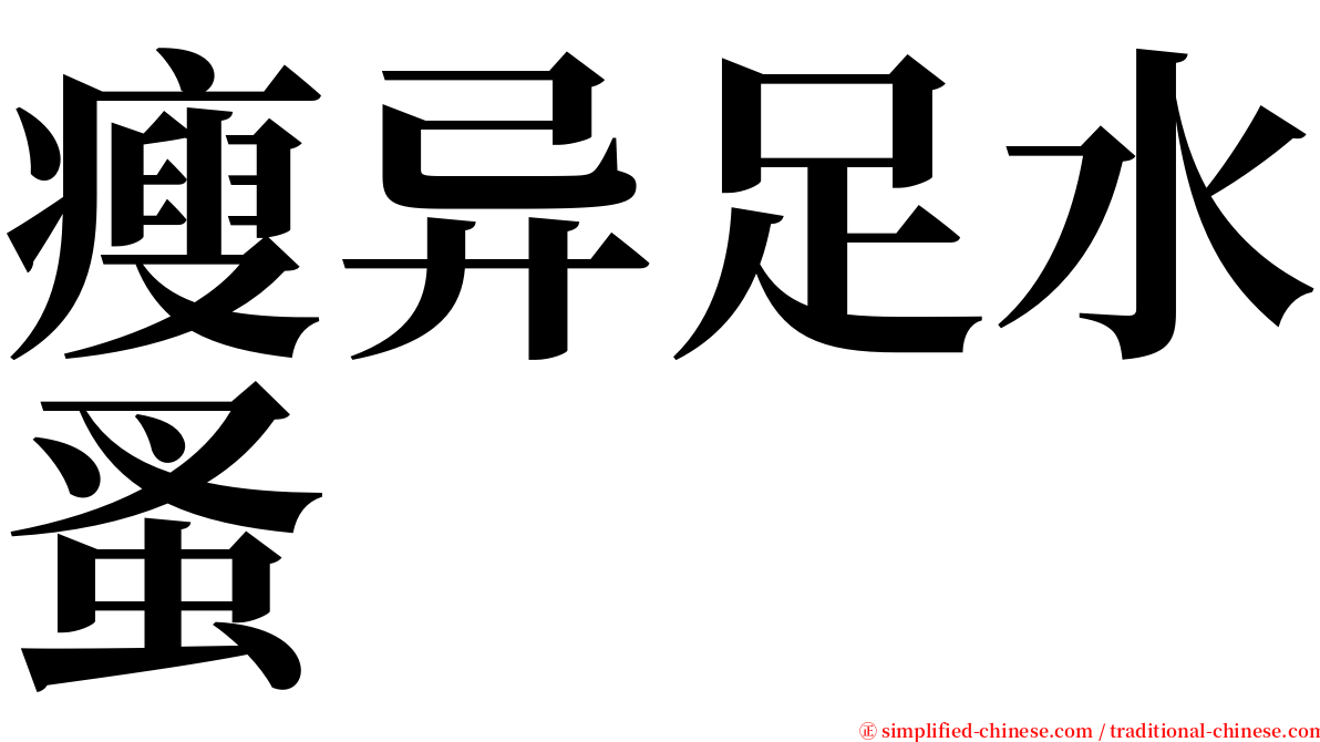 瘦异足水蚤 serif font