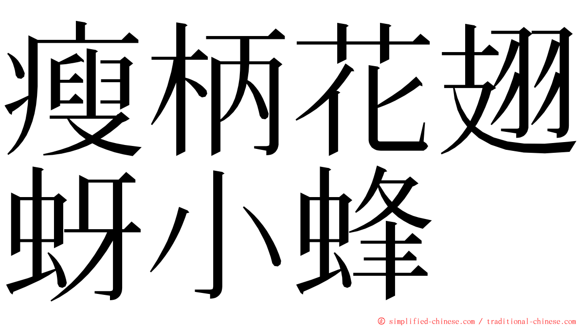 瘦柄花翅蚜小蜂 ming font