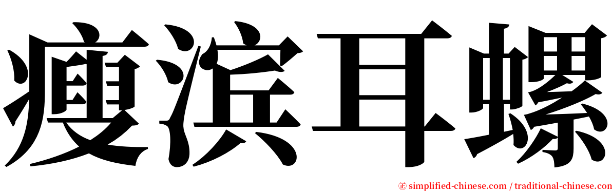 瘦滨耳螺 serif font