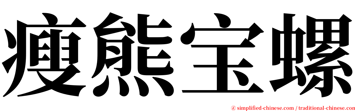 瘦熊宝螺 serif font