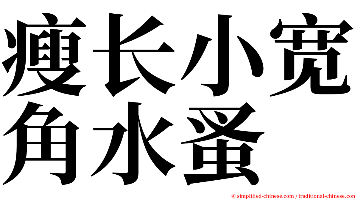 瘦长小宽角水蚤 serif font