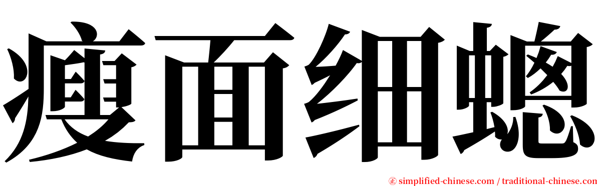 瘦面细蟌 serif font