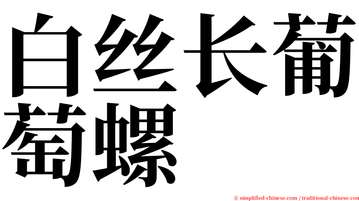 白丝长葡萄螺 serif font