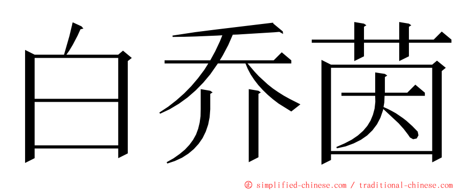 白乔茵 ming font