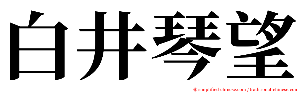 白井琴望 serif font