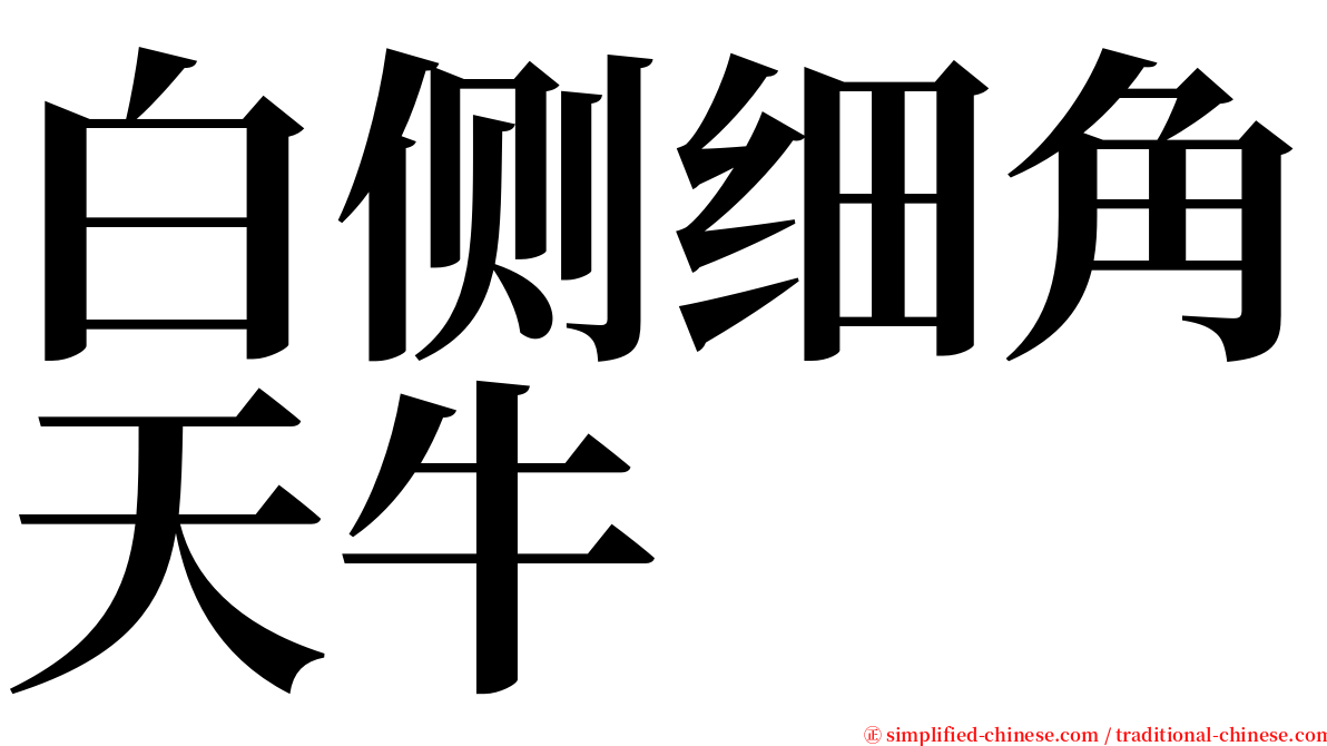 白侧细角天牛 serif font