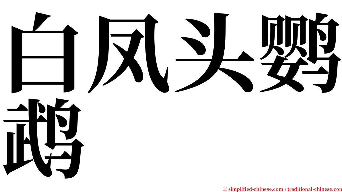 白凤头鹦鹉 serif font
