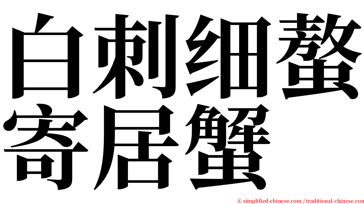 白刺细螯寄居蟹 serif font