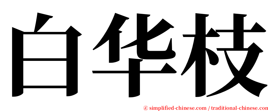 白华枝 serif font