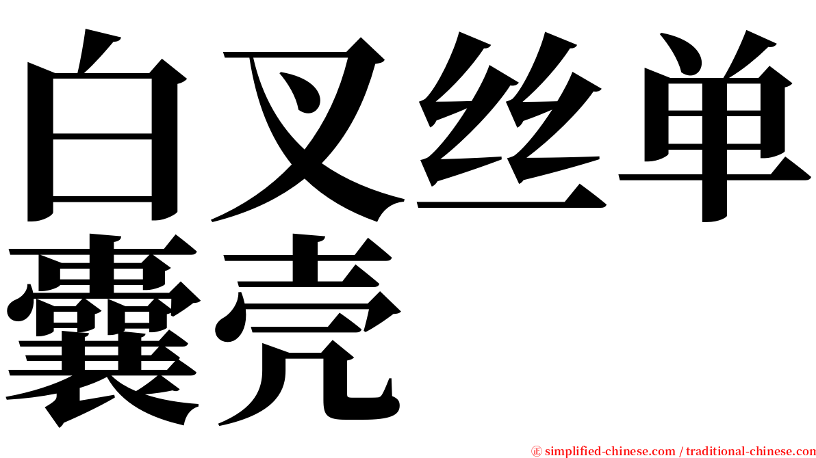 白叉丝单囊壳 serif font