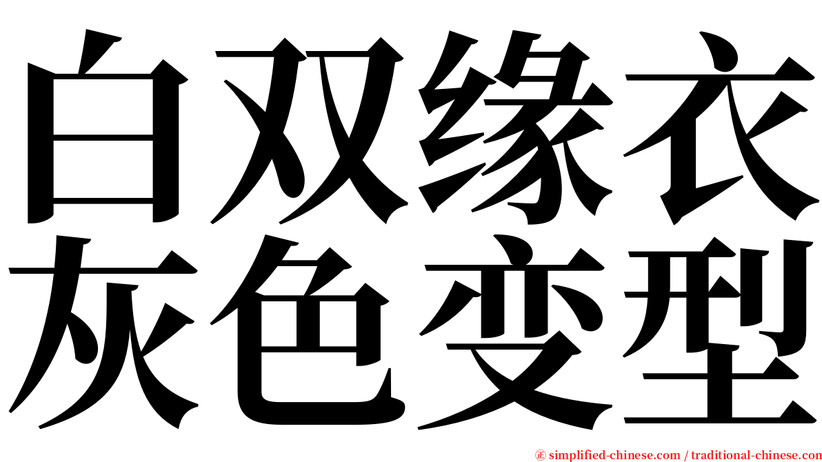 白双缘衣灰色变型 serif font