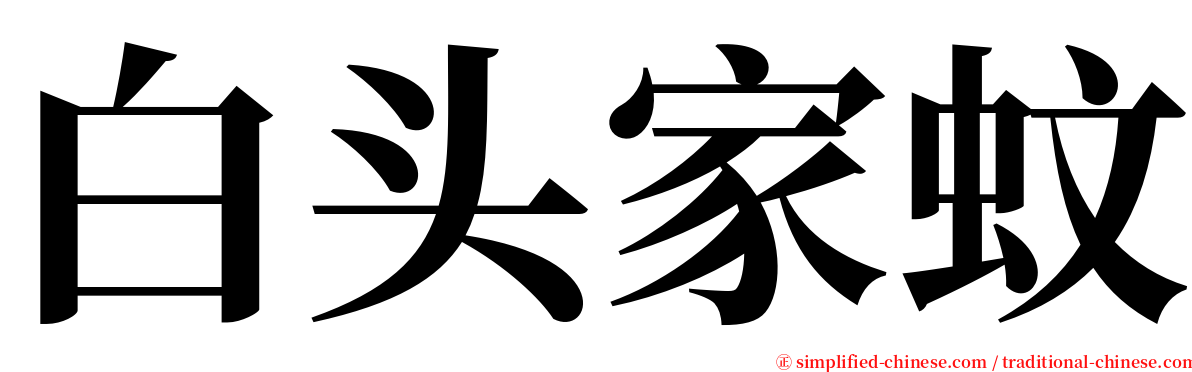 白头家蚊 serif font