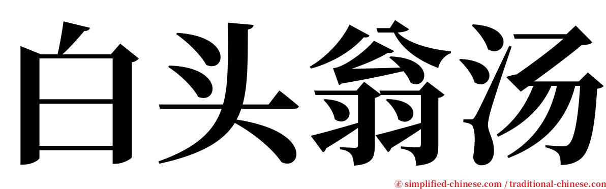 白头翁汤 serif font