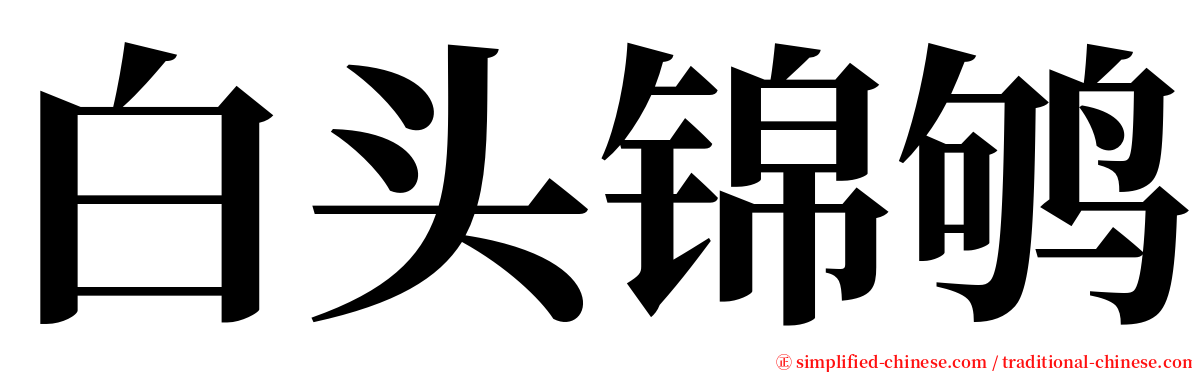 白头锦鸲 serif font