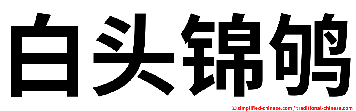 白头锦鸲