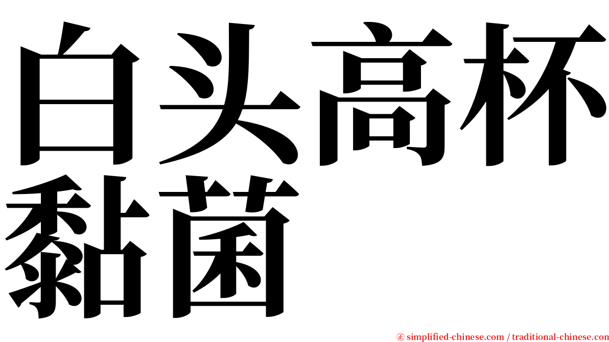 白头高杯黏菌 serif font