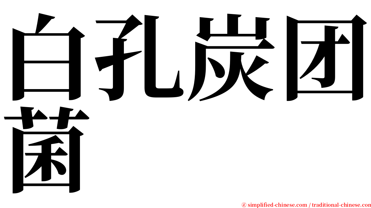 白孔炭团菌 serif font