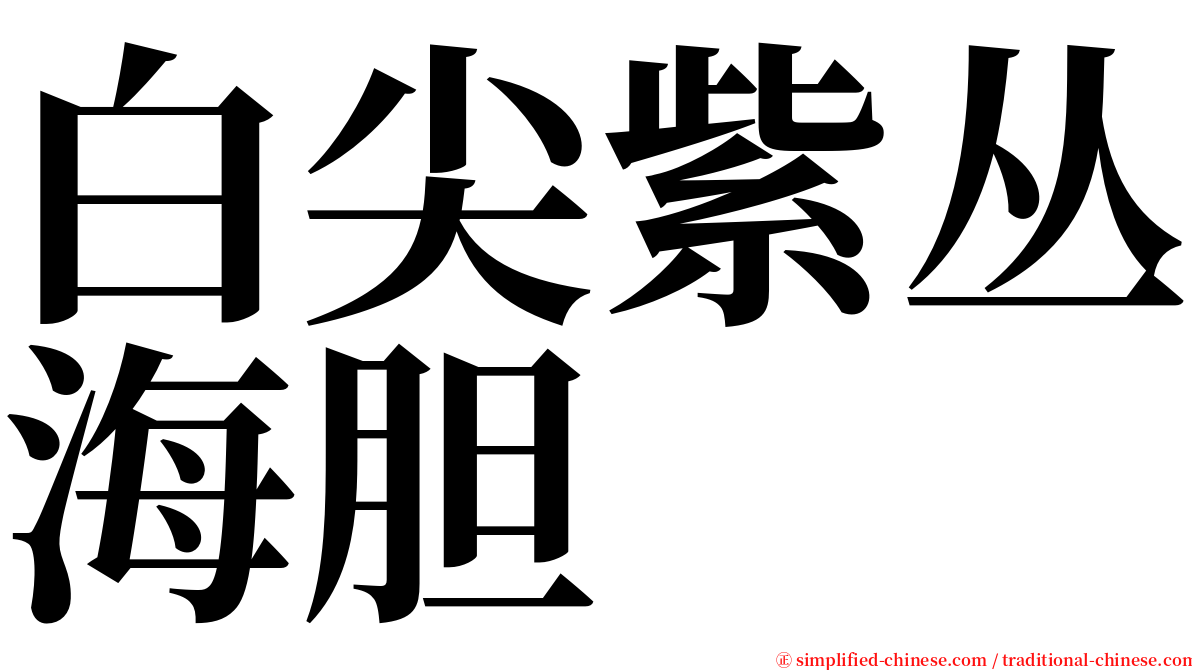 白尖紫丛海胆 serif font