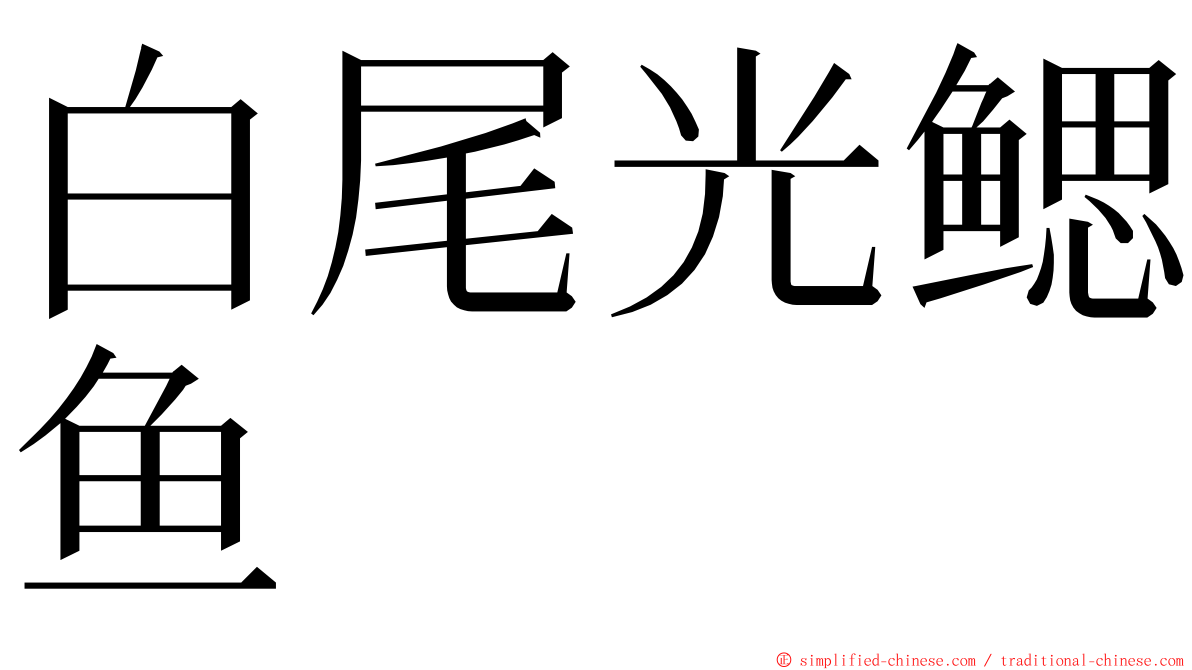 白尾光鳃鱼 ming font