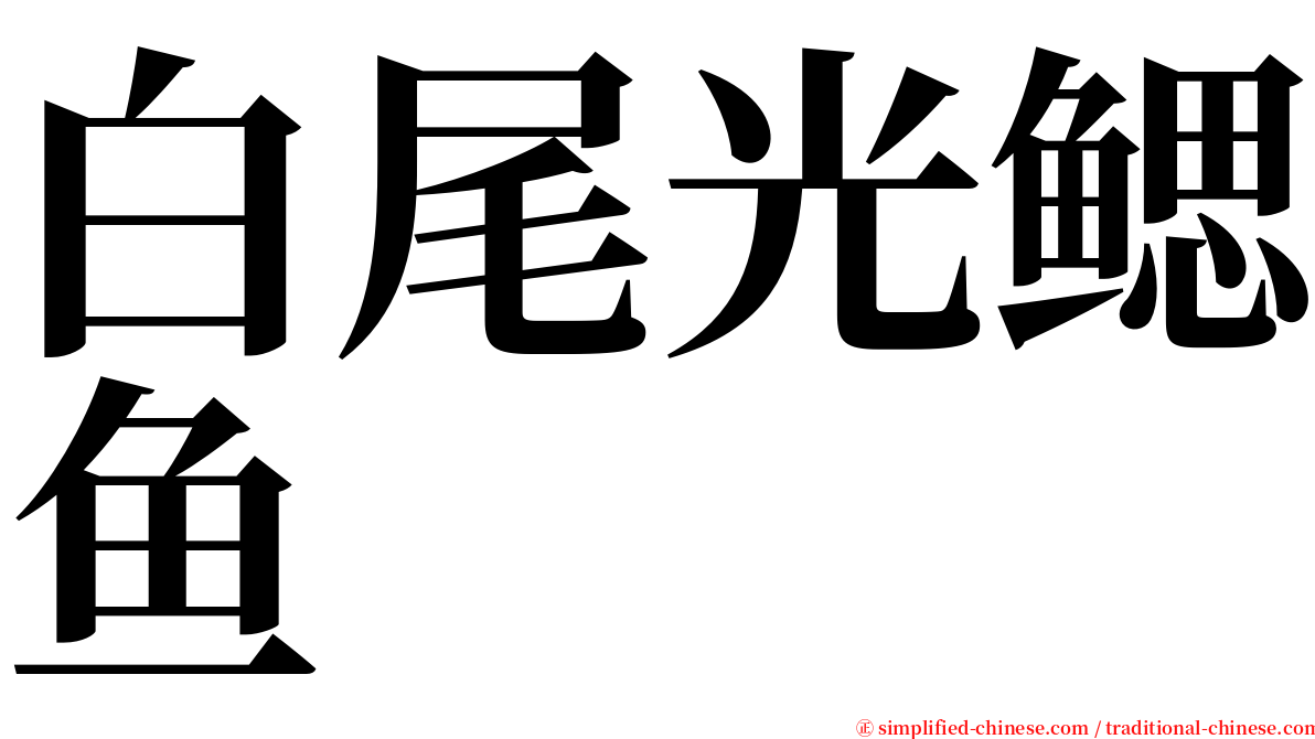 白尾光鳃鱼 serif font