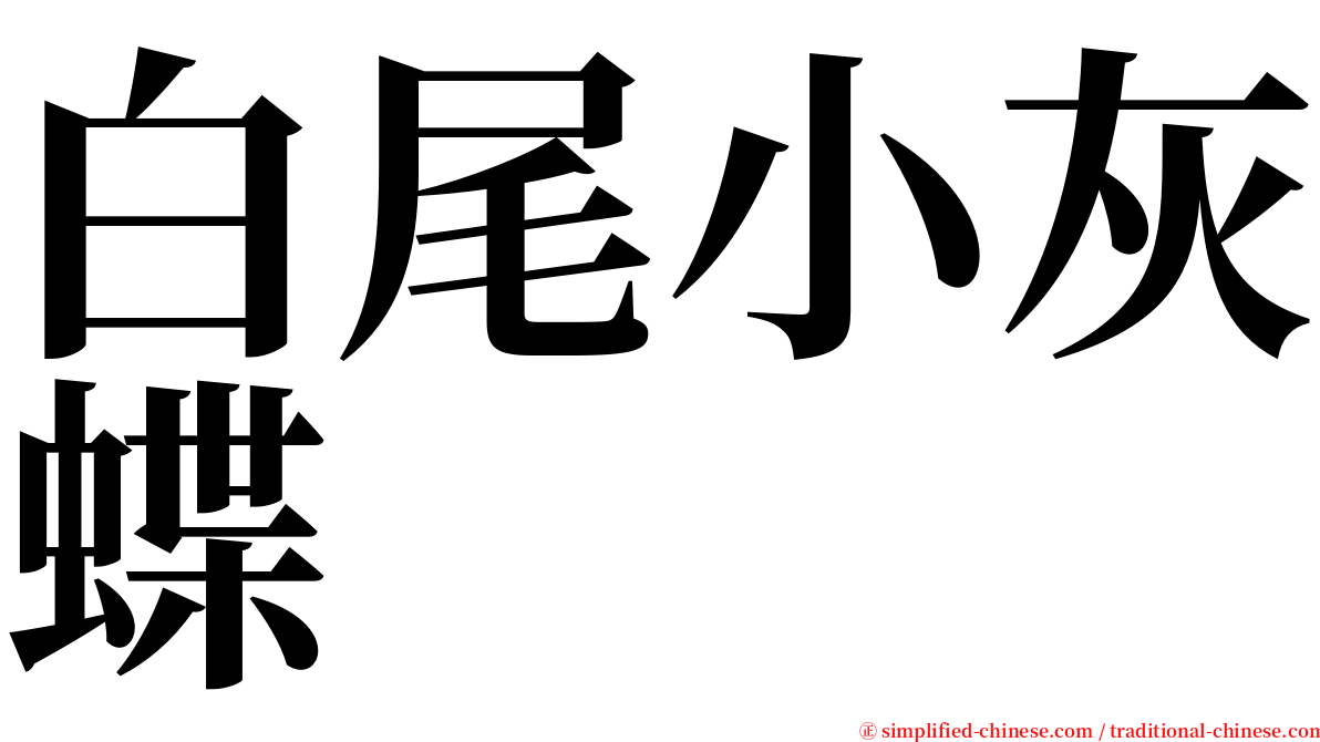 白尾小灰蝶 serif font