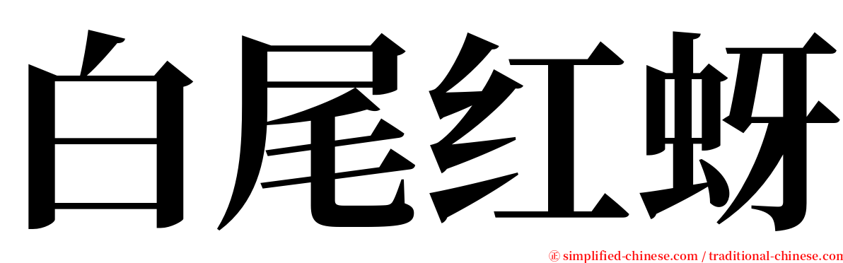 白尾红蚜 serif font